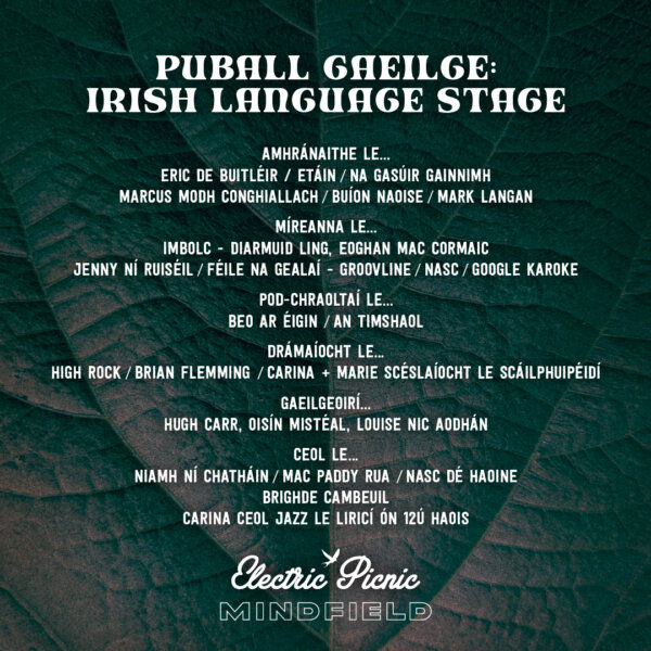 irish language stage line up