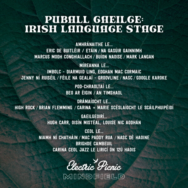 irish language stage line up