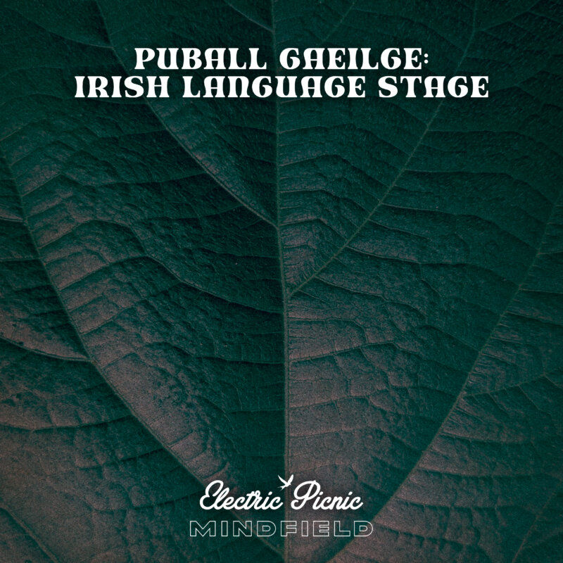 An Gaeilge agus na Meáin