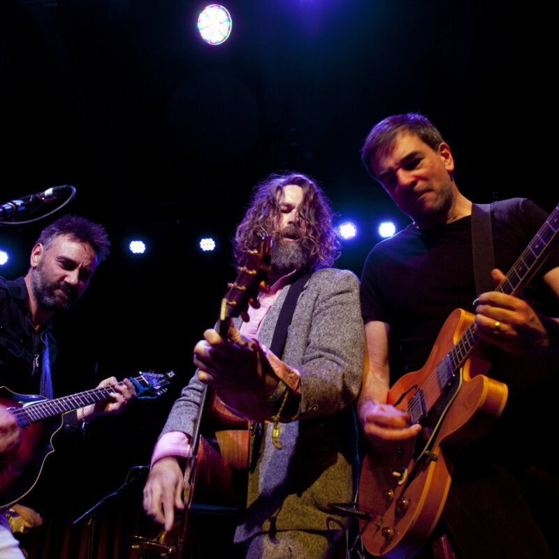 Hothouse Flowers