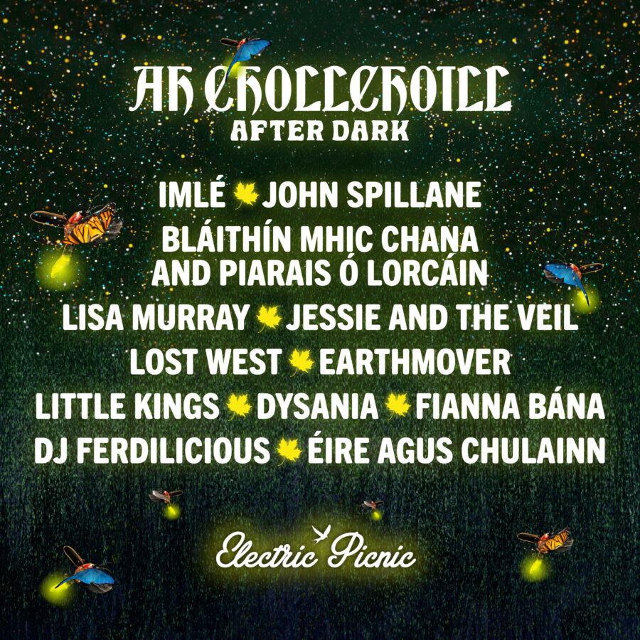 Hazelwood Afterdark Featuring:   IMLÉ – John Spillane –  Bláithín Mhic Chana and Piarais Ó Lorcáin   Lisa Murrary -  Jessie and the Veil - Lost West -  Earthmover  Little Kings – Dysania -  Fianna Bána - DJ Ferdilicious -  Éire agus Chulainn