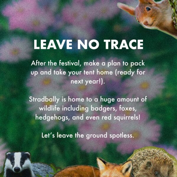 Leave no trace